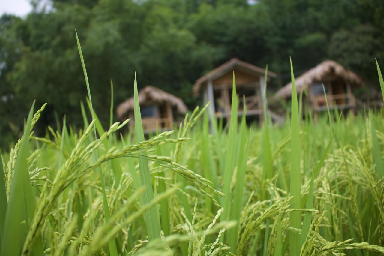 Little Mai Chau Home Stay מראה חיצוני תמונה