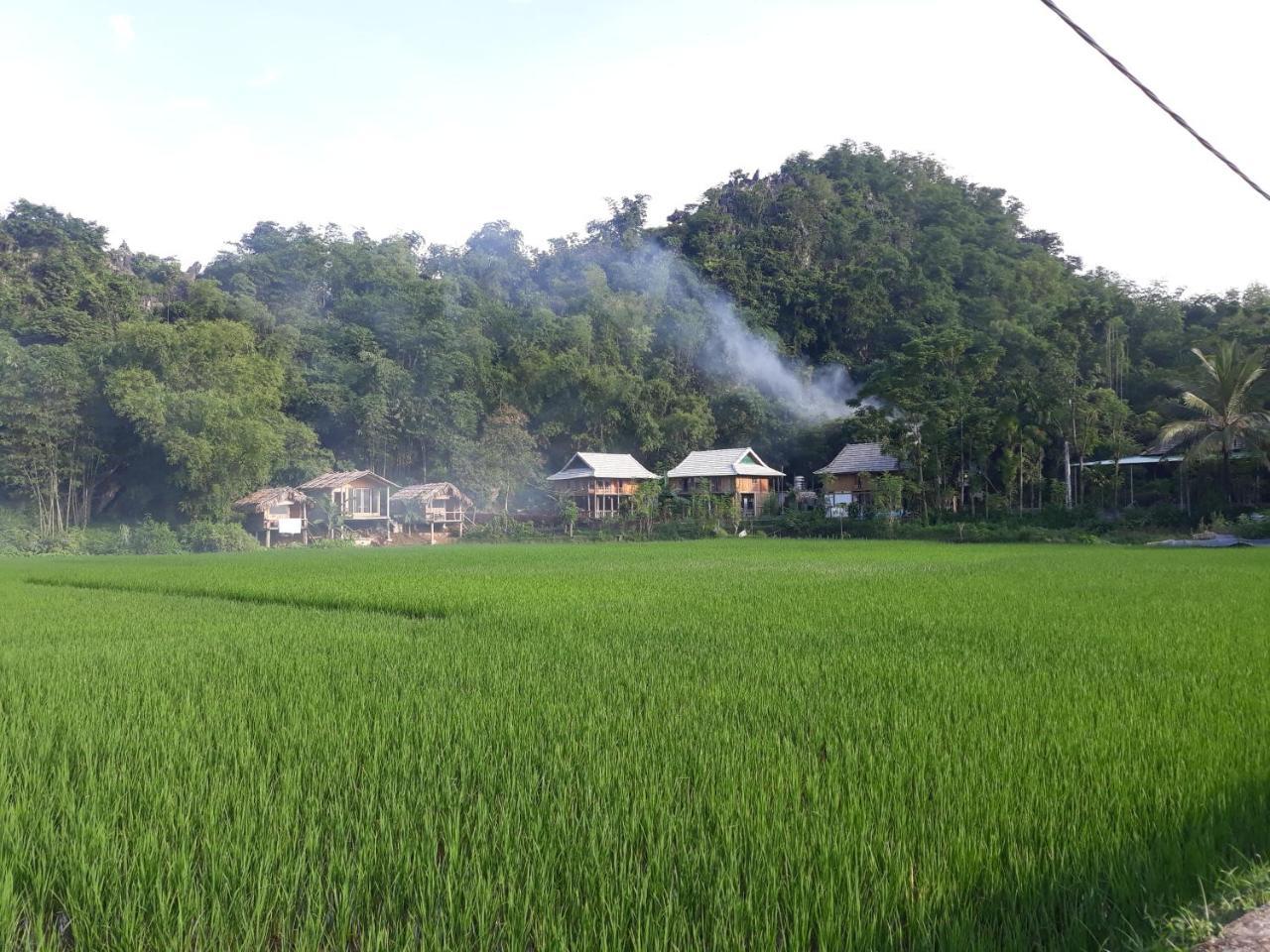 Little Mai Chau Home Stay מראה חיצוני תמונה