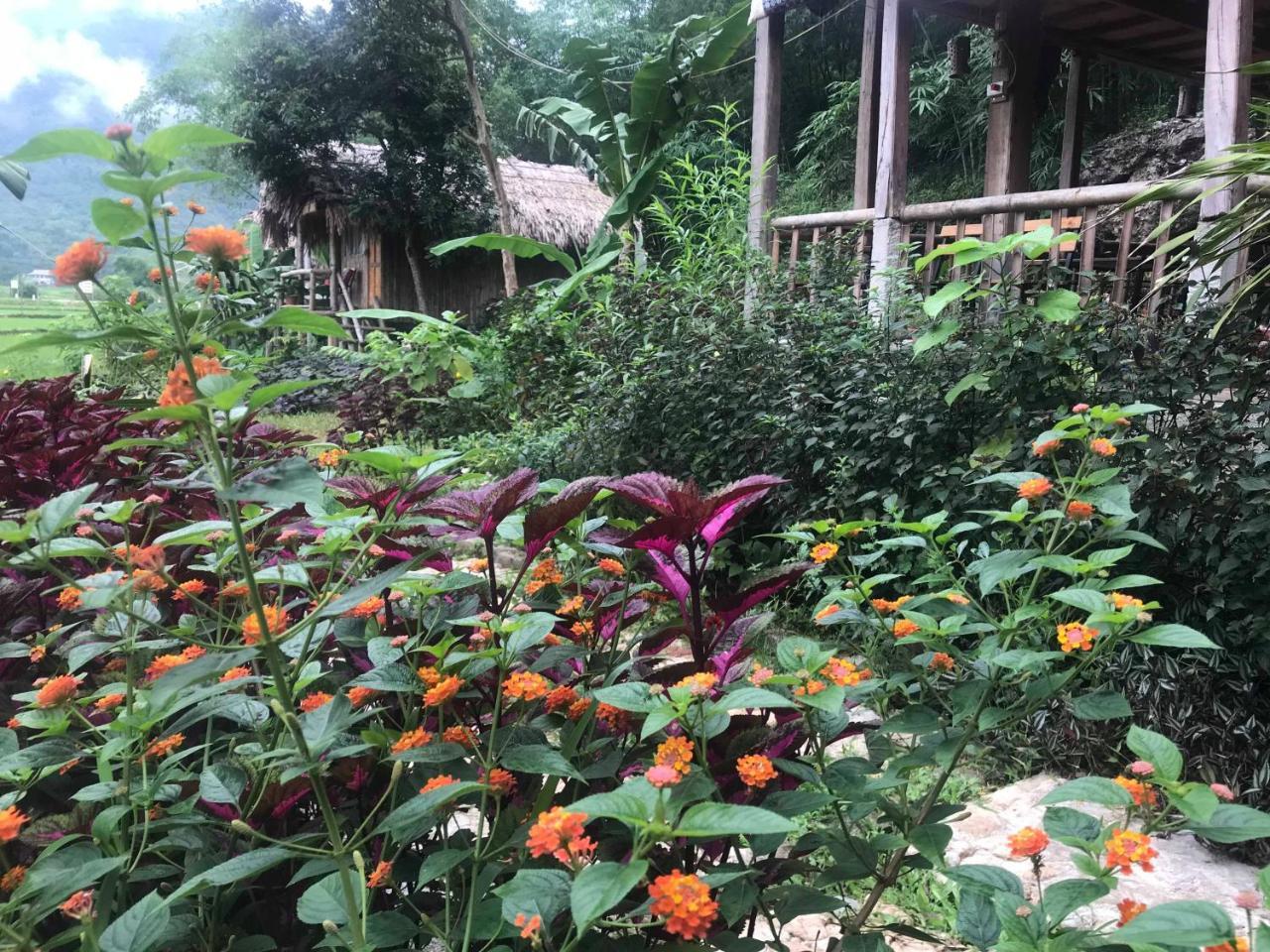 Little Mai Chau Home Stay מראה חיצוני תמונה