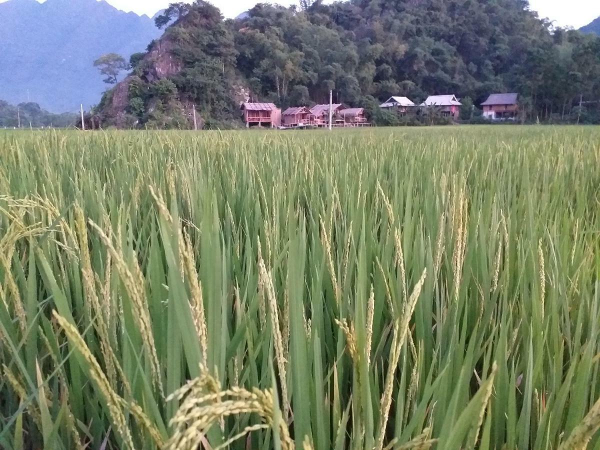 Little Mai Chau Home Stay מראה חיצוני תמונה
